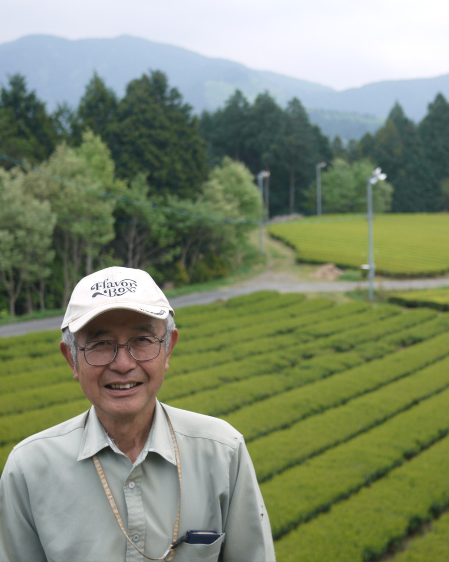 This is where your tea begins.