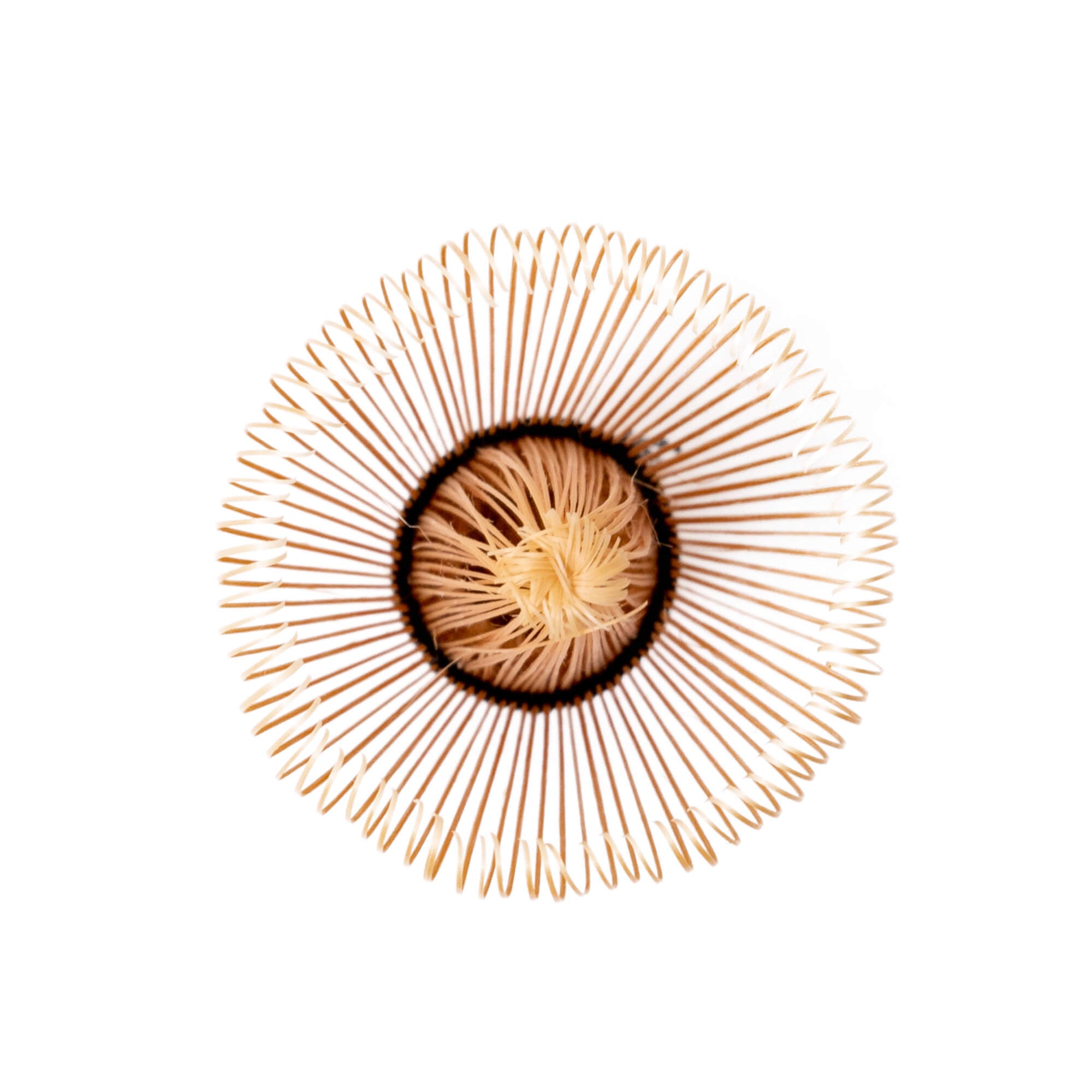 Japanese Bamboo Matcha Whisk - Ocha & Co.