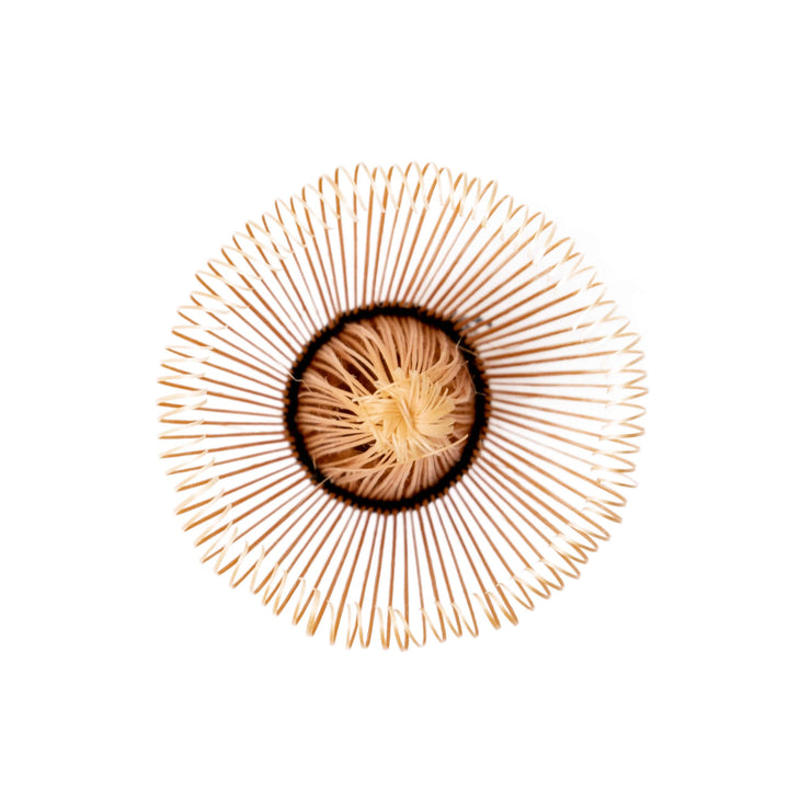Japanese Bamboo Matcha Whisk - Ocha & Co.